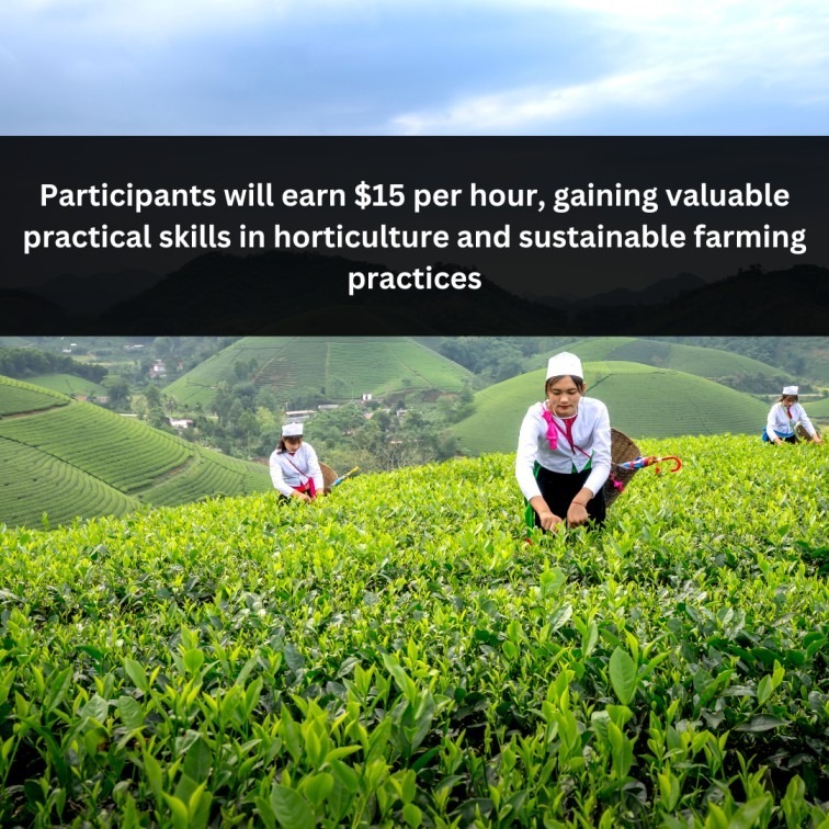 Orange Green Photo Autumn Harvest Instagram Post - 2025-03-23T061648.543