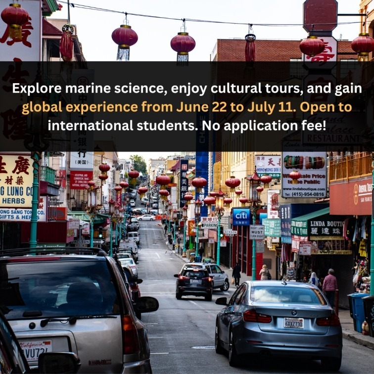 Orange Green Photo Autumn Harvest Instagram Post - 2025-04-08T160615.233