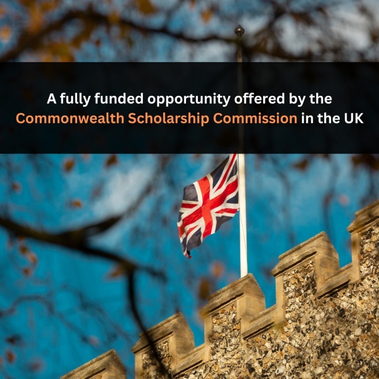 Orange Green Photo Autumn Harvest Instagram Post - 2025-04-12T042633.492