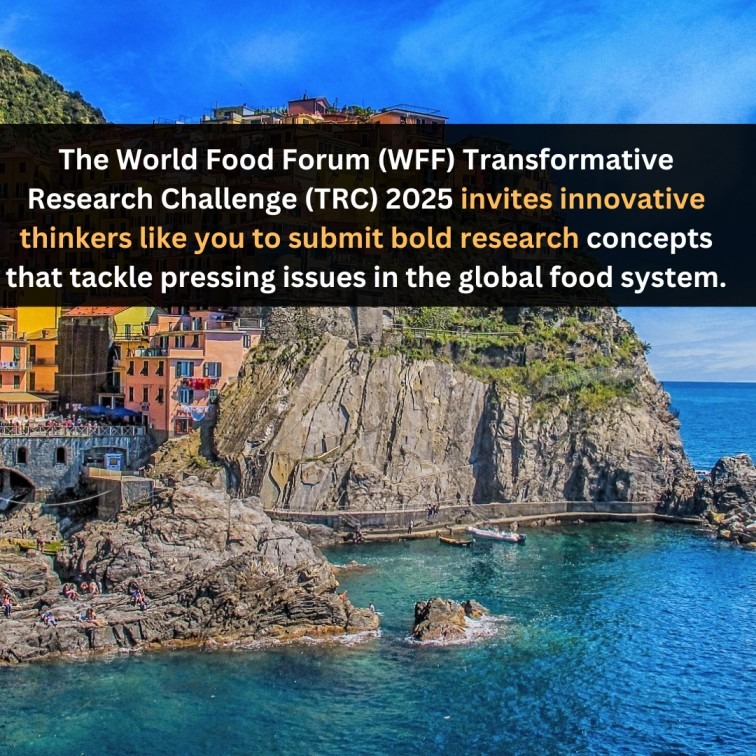 Orange Green Photo Autumn Harvest Instagram Post - 2025-04-18T045726.223