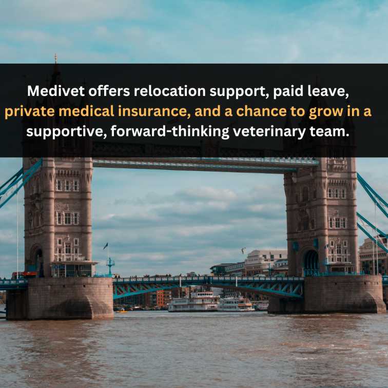 Orange Green Photo Autumn Harvest Instagram Post - 2025-04-19T110644.745