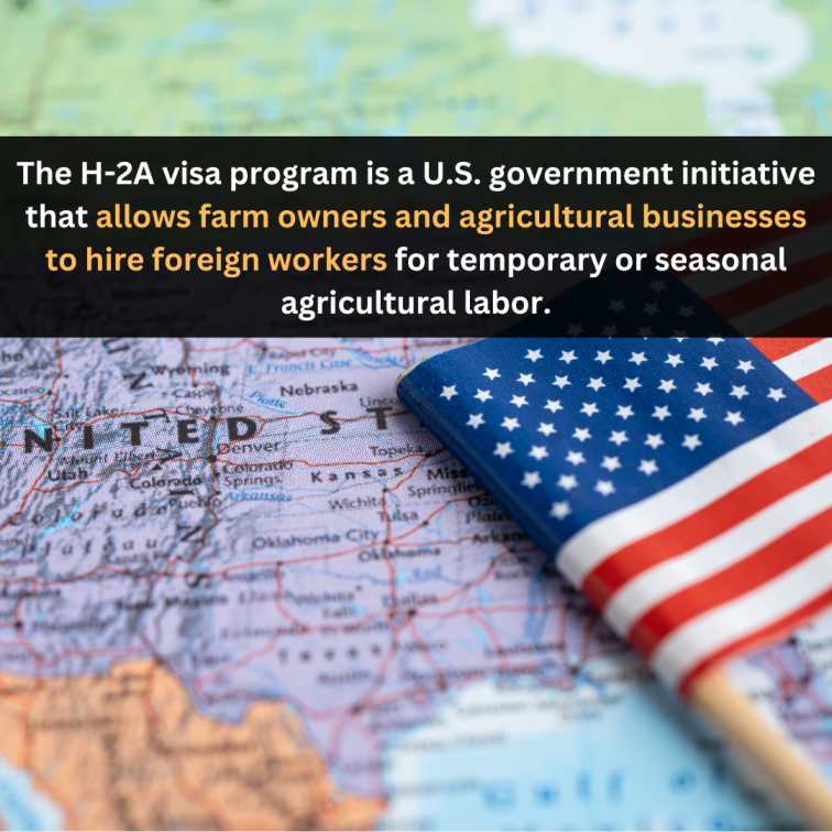 Orange Green Photo Autumn Harvest Instagram Post - 2025-04-21T081450.267