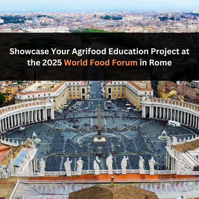 Orange Green Photo Autumn Harvest Instagram Post - 2025-05-02T070222.582