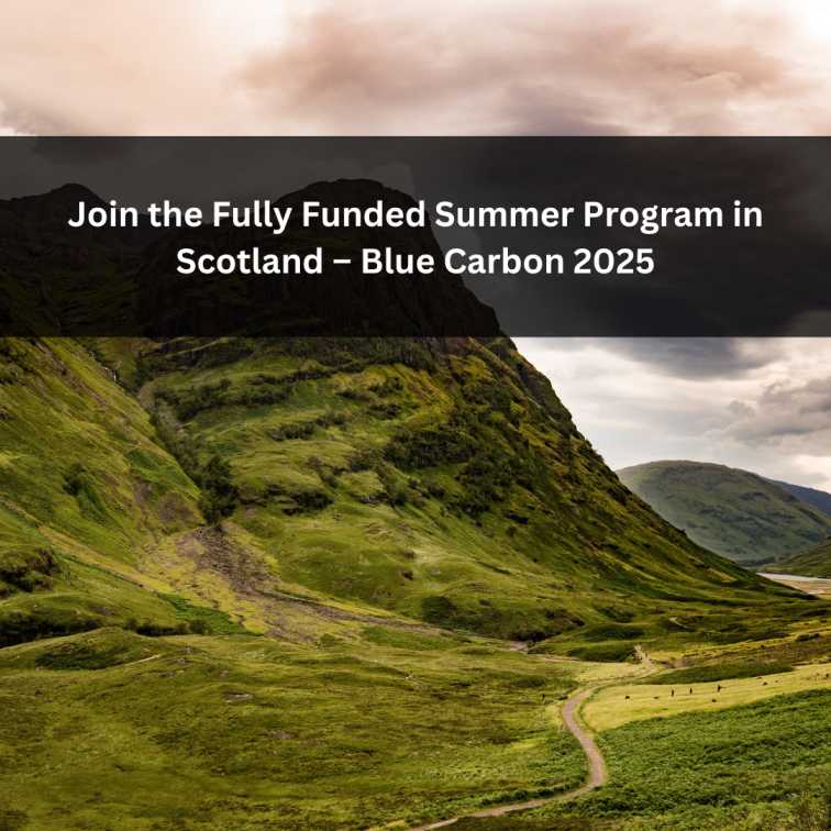 Orange Green Photo Autumn Harvest Instagram Post - 2025-05-16T050518.534