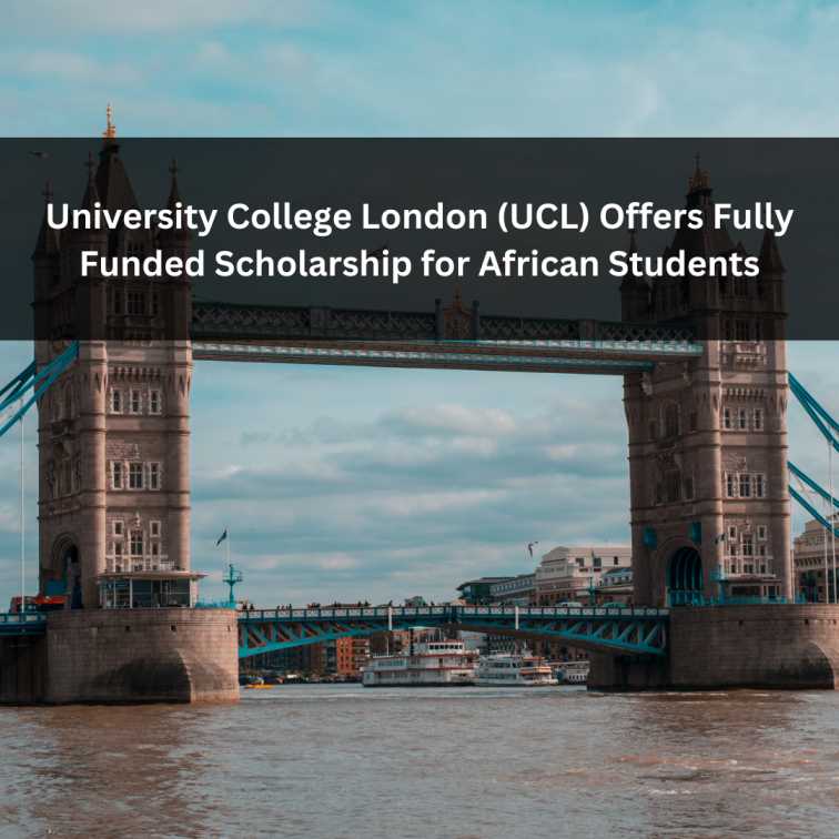 Orange Green Photo Autumn Harvest Instagram Post - 2025-05-19T044449.148