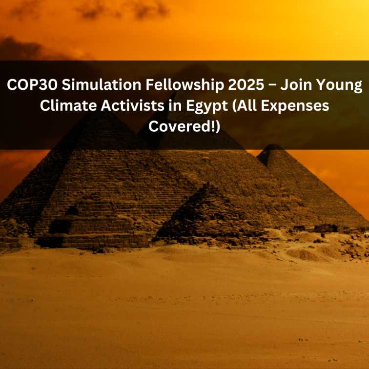 Orange Green Photo Autumn Harvest Instagram Post - 2025-05-21T055255.195