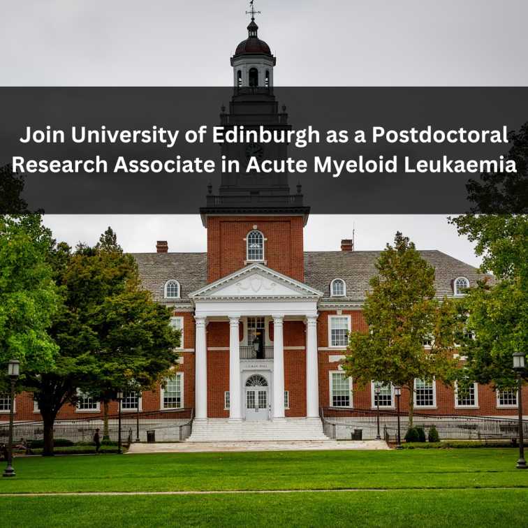 Orange Green Photo Autumn Harvest Instagram Post - 2025-05-23T054943.954