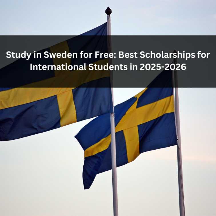 Orange Green Photo Autumn Harvest Instagram Post - 2025-05-27T051152.865