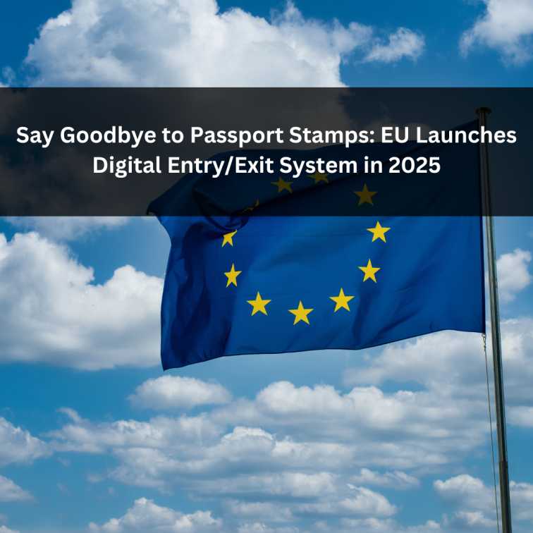 Orange Green Photo Autumn Harvest Instagram Post - 2025-05-28T055649.755