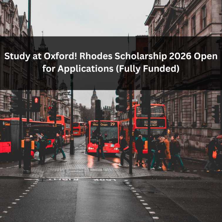 Orange Green Photo Autumn Harvest Instagram Post - 2025-06-11T064531.290