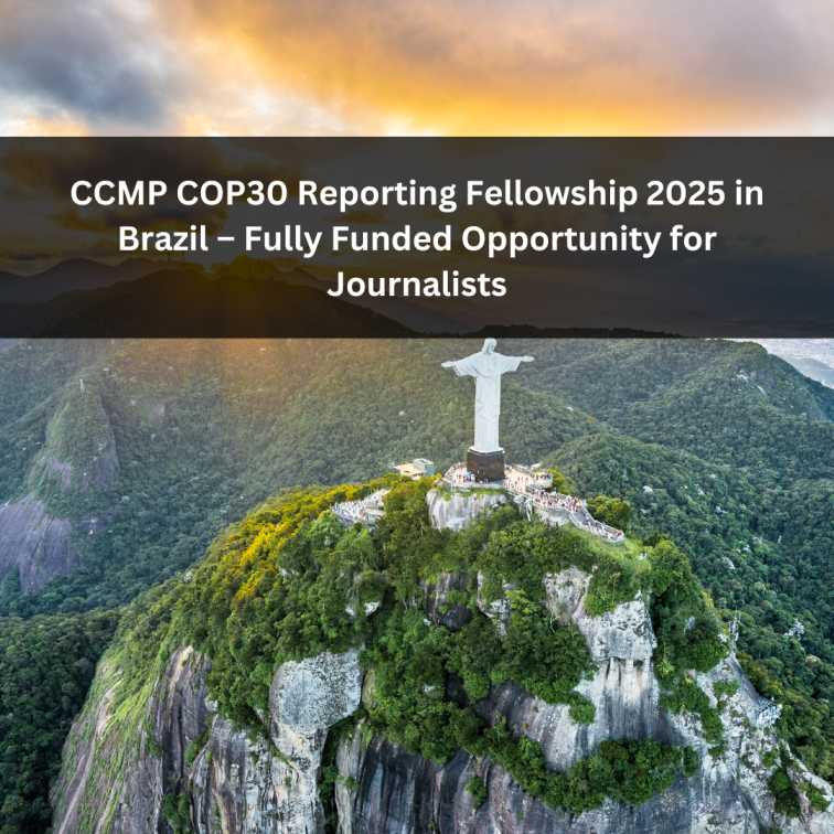 Orange Green Photo Autumn Harvest Instagram Post - 2025-06-19T043745.592