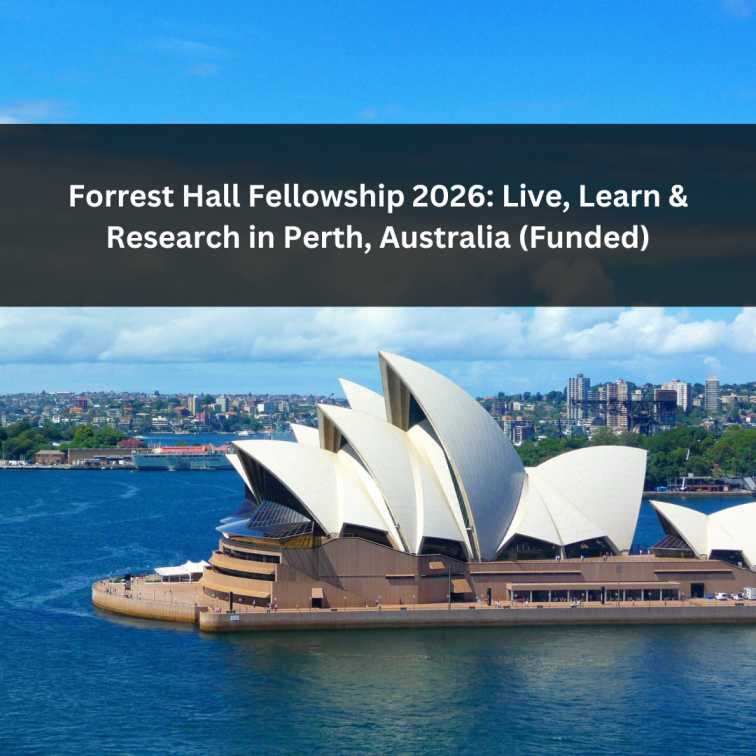 Orange Green Photo Autumn Harvest Instagram Post - 2025-06-19T045318.108