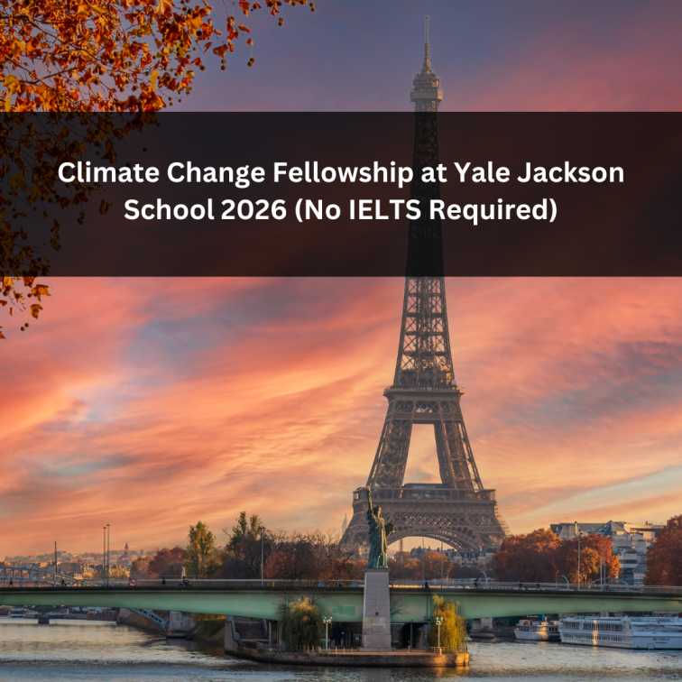 Orange Green Photo Autumn Harvest Instagram Post - 2025-06-20T054856.423