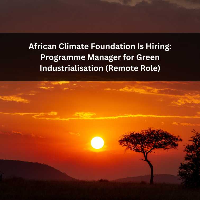 Orange Green Photo Autumn Harvest Instagram Post - 2025-06-23T040858.280