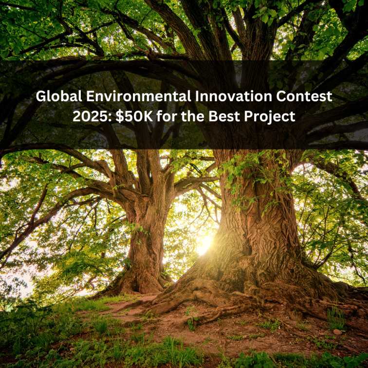 Orange Green Photo Autumn Harvest Instagram Post - 2025-06-24T053833.168