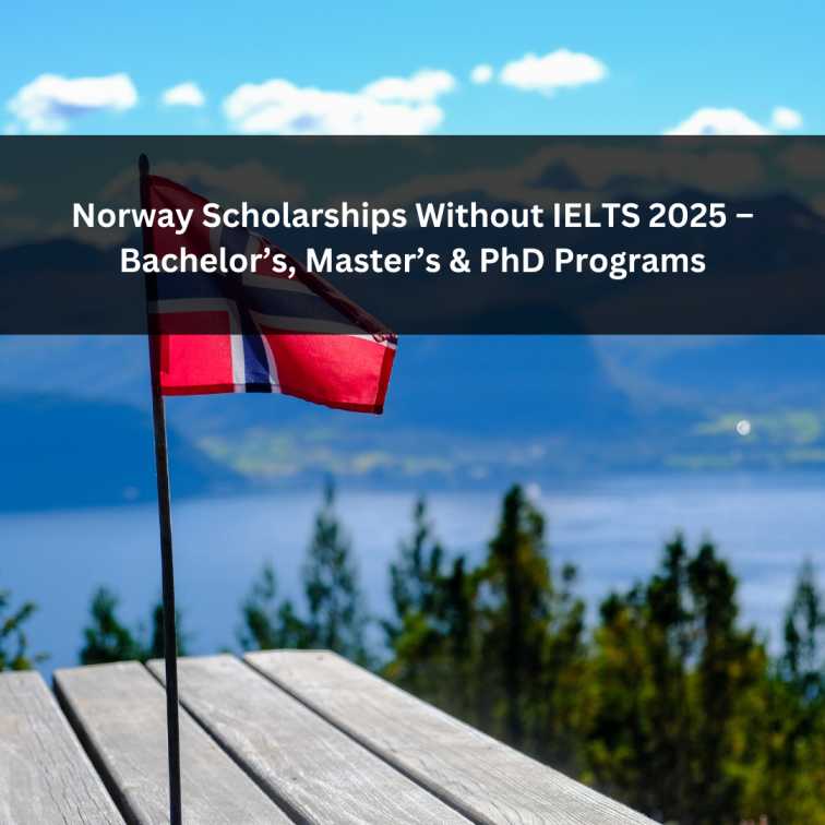 Orange Green Photo Autumn Harvest Instagram Post - 2025-06-26T054339.583