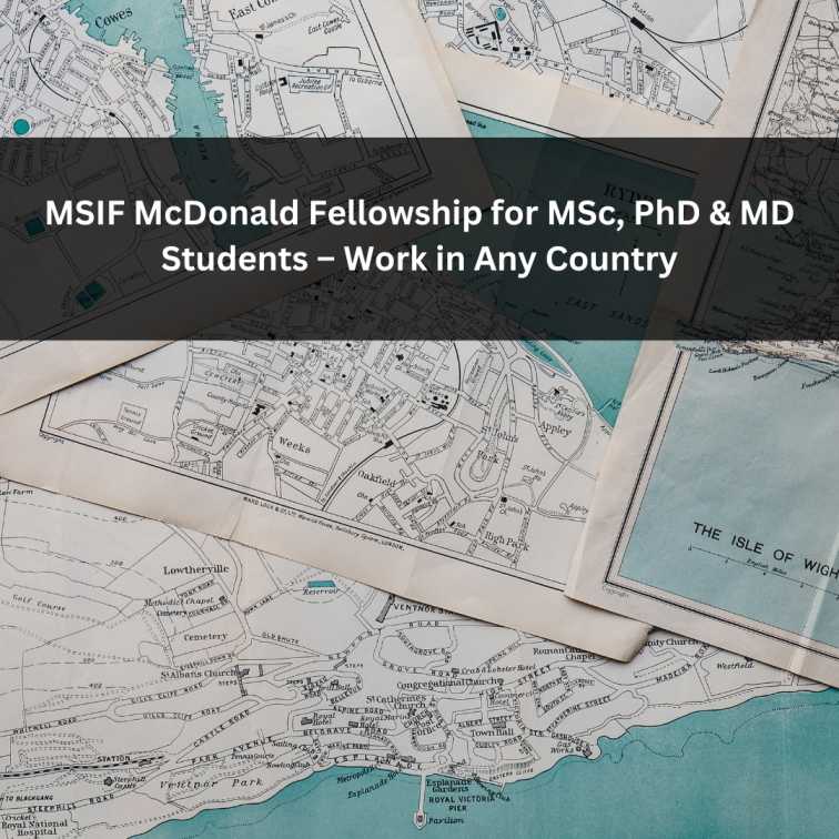 Orange Green Photo Autumn Harvest Instagram Post - 2025-07-02T052918.056