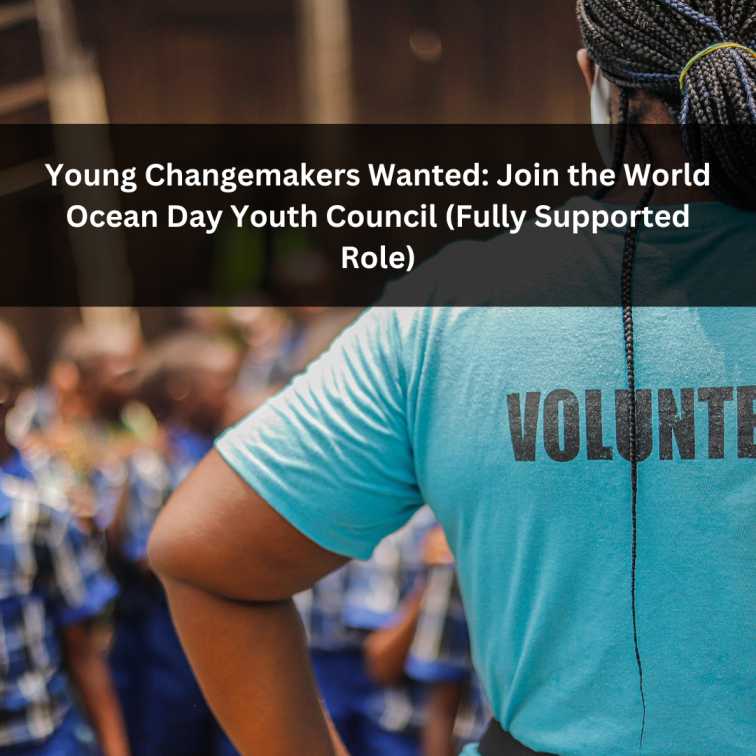 Orange Green Photo Autumn Harvest Instagram Post - 2025-07-05T053706.146