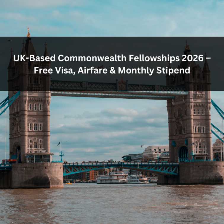 Orange Green Photo Autumn Harvest Instagram Post - 2025-07-29T184651.857