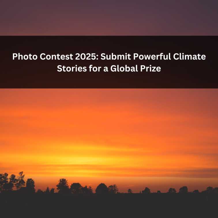 Orange Green Photo Autumn Harvest Instagram Post - 2025-07-31T061145.208