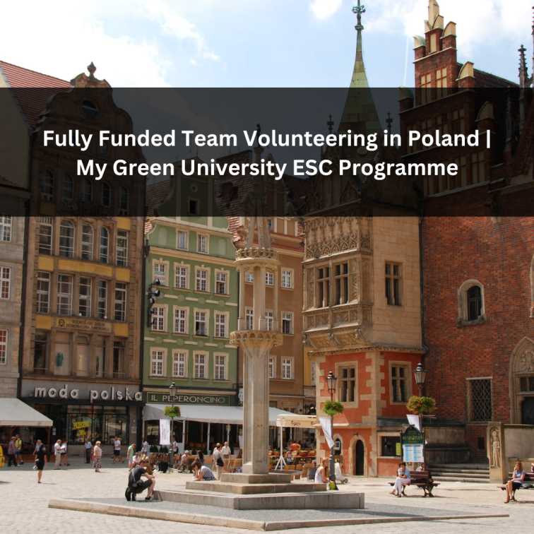 Orange Green Photo Autumn Harvest Instagram Post - 2025-08-20T054726.772