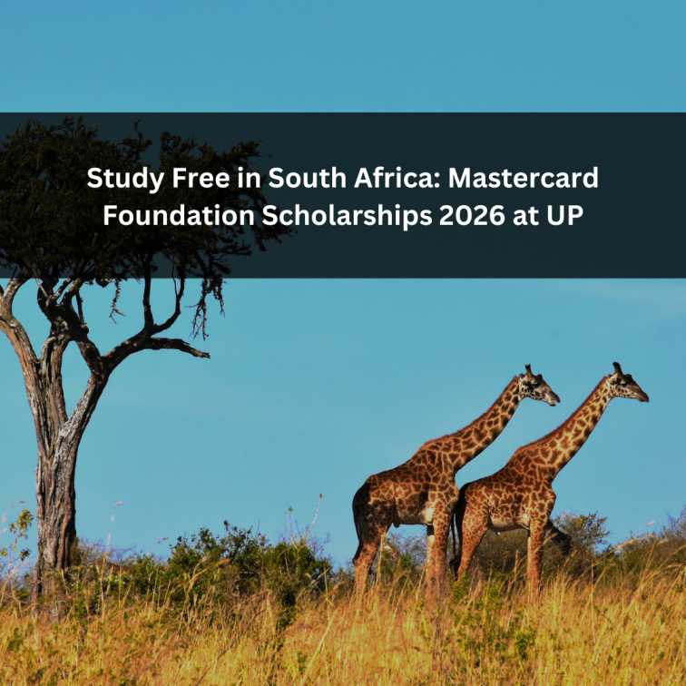 Orange Green Photo Autumn Harvest Instagram Post - 2025-08-21T053823.142