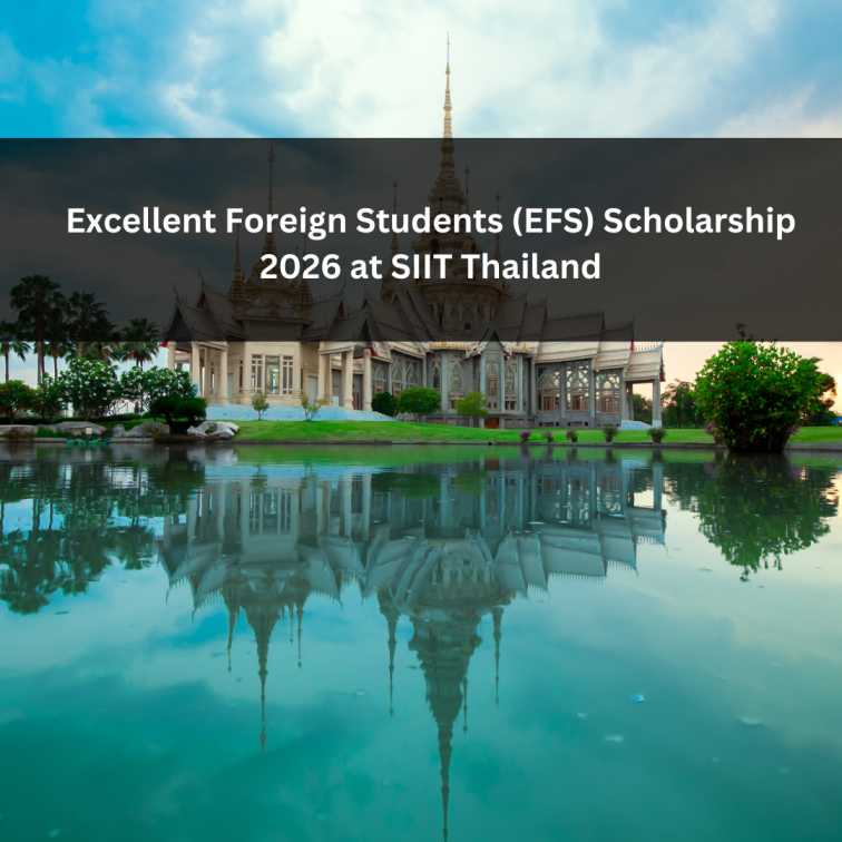 Orange Green Photo Autumn Harvest Instagram Post - 2025-09-10T044753.924