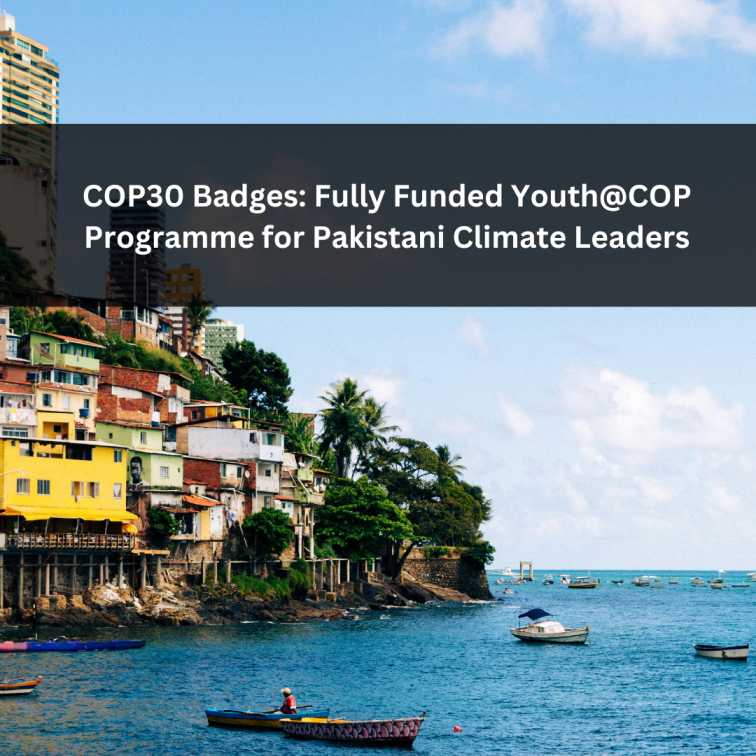 Orange Green Photo Autumn Harvest Instagram Post - 2025-09-29T044625.481