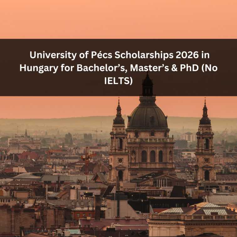 Orange Green Photo Autumn Harvest Instagram Post - 2025-11-11T054057.771