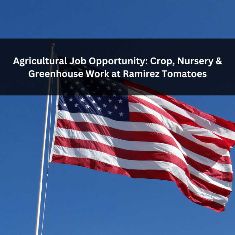 Orange Green Photo Autumn Harvest Instagram Post - 2025-11-17T061528.451