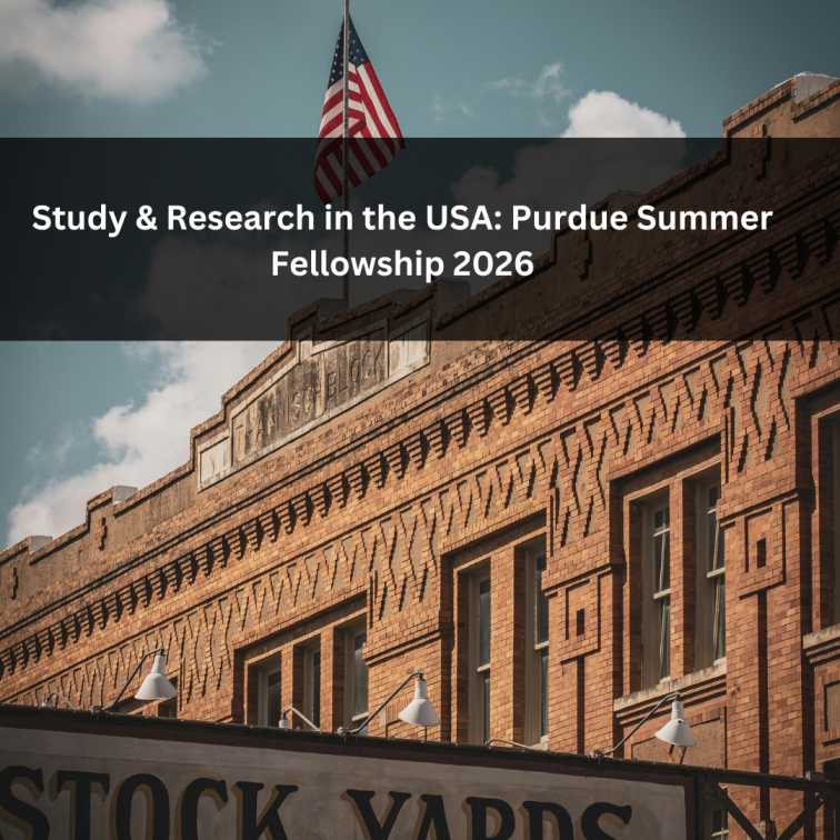 Orange Green Photo Autumn Harvest Instagram Post - 2025-12-12T055102.113