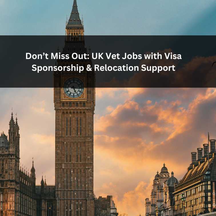 Orange Green Photo Autumn Harvest Instagram Post - 2025-12-23T053126.375