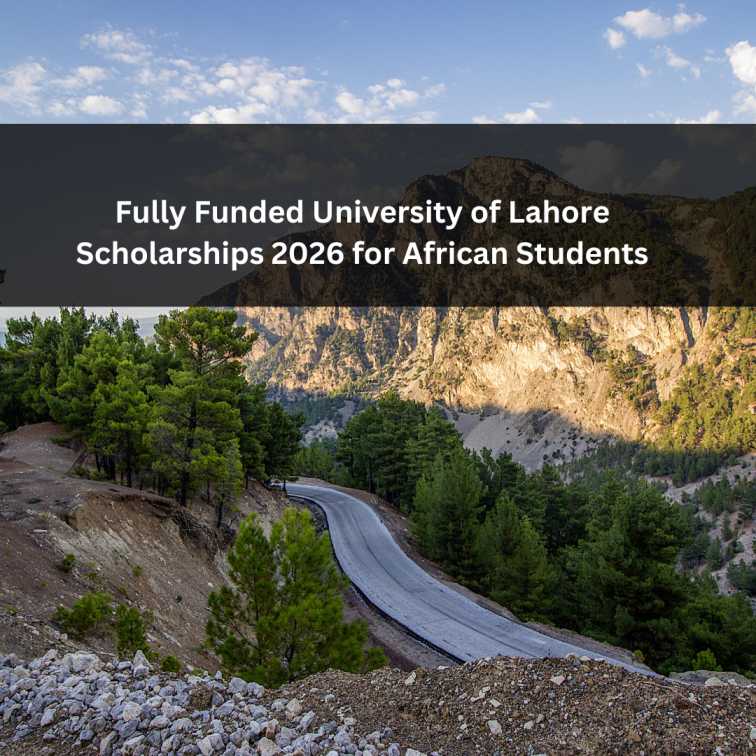 Orange Green Photo Autumn Harvest Instagram Post - 2025-12-30T130025.234