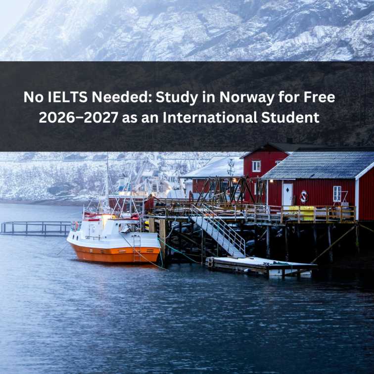 Orange Green Photo Autumn Harvest Instagram Post - 2026-01-11T062242.307