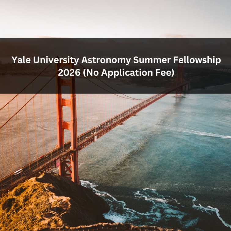 Orange Green Photo Autumn Harvest Instagram Post - 2026-01-21T053327.283