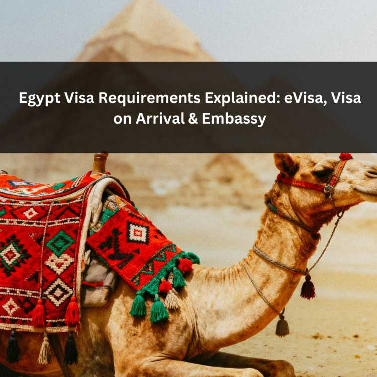 Orange Green Photo Autumn Harvest Instagram Post - 2026-01-30T061525.525