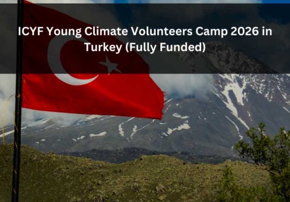 Orange Green Photo Autumn Harvest Instagram Post - 2026-02-01T050718.347