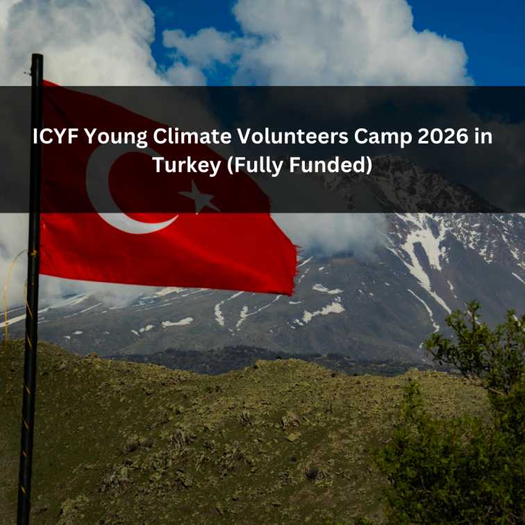 Orange Green Photo Autumn Harvest Instagram Post - 2026-02-01T050718.347