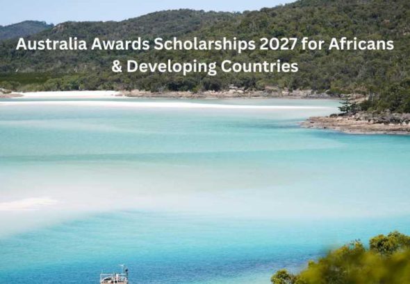 Orange Green Photo Autumn Harvest Instagram Post - 2026-02-06T080944.569 (1)