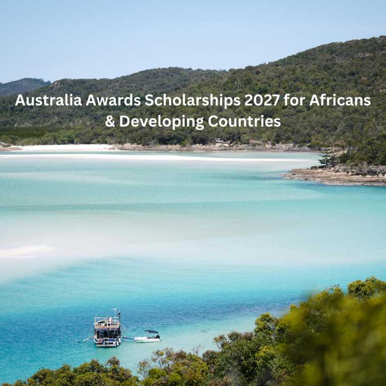 Orange Green Photo Autumn Harvest Instagram Post - 2026-02-06T080944.569 (1)