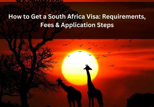 Orange Green Photo Autumn Harvest Instagram Post - 2026-02-07T100136.079