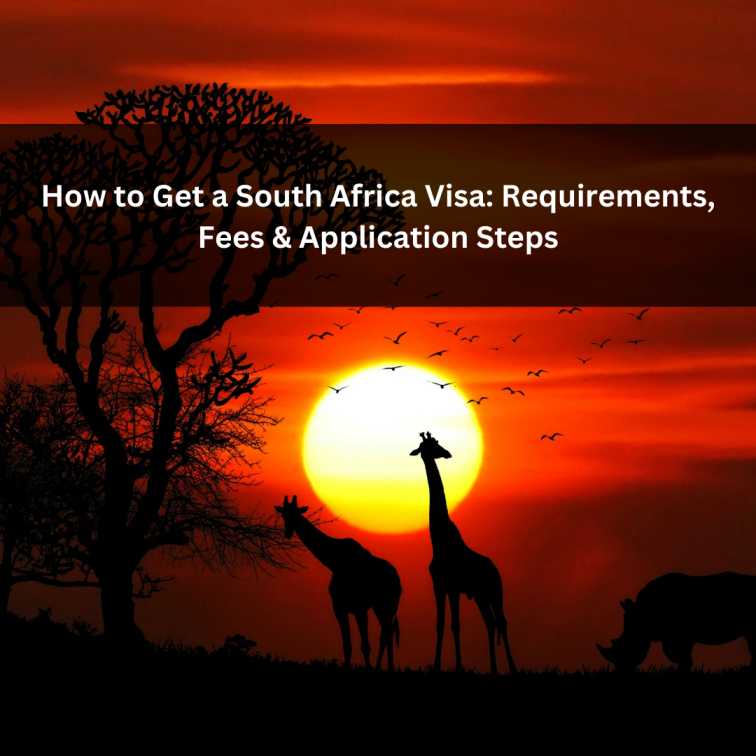 Orange Green Photo Autumn Harvest Instagram Post - 2026-02-07T100136.079