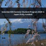 Orange Green Photo Autumn Harvest Instagram Post - 2026-02-07T132156.679