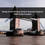 Orange Green Photo Autumn Harvest Instagram Post - 2026-02-18T071010.848