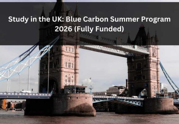 Orange Green Photo Autumn Harvest Instagram Post - 2026-02-18T071010.848