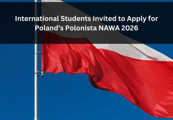 Orange Green Photo Autumn Harvest Instagram Post - 2026-02-21T071855.571