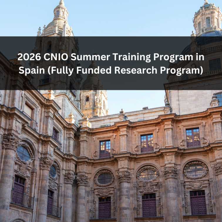 Orange Green Photo Autumn Harvest Instagram Post - 2026-03-08T084734.779