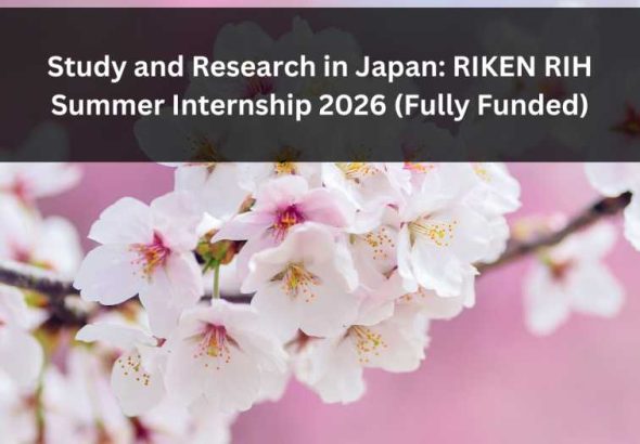 Orange Green Photo Autumn Harvest Instagram Post - 2026-03-09T071124.239