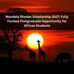 Orange Green Photo Autumn Harvest Instagram Post - 2026-03-11T093557.365