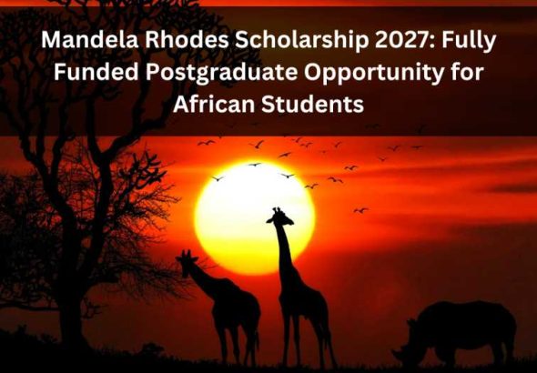 Orange Green Photo Autumn Harvest Instagram Post - 2026-03-11T093557.365